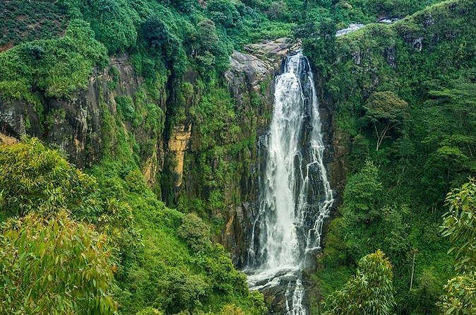 Day Tour to Nuwara Eliya from Kandy by Lux Tours Lanka - Hakgala Botanic Gardens require a value check
