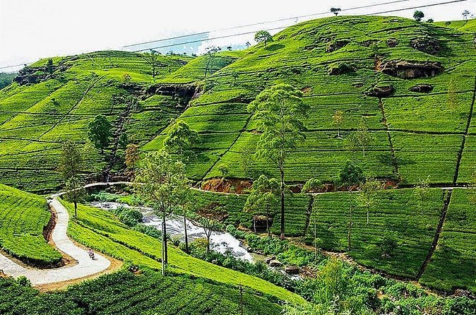 Day Tour to Nuwara Eliya from Kandy by Lux Tours Lanka - The colonial mood is real, but not complete