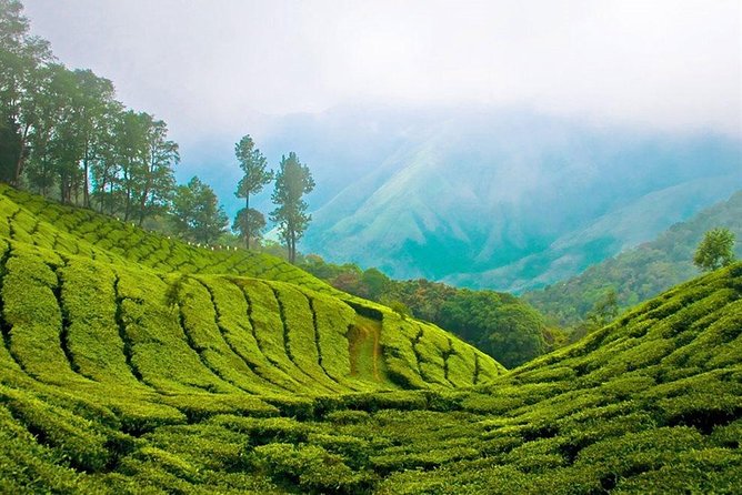 Day Tour to Nuwara Eliya from Kandy by Lux Tours Lanka - How the private format changes the day