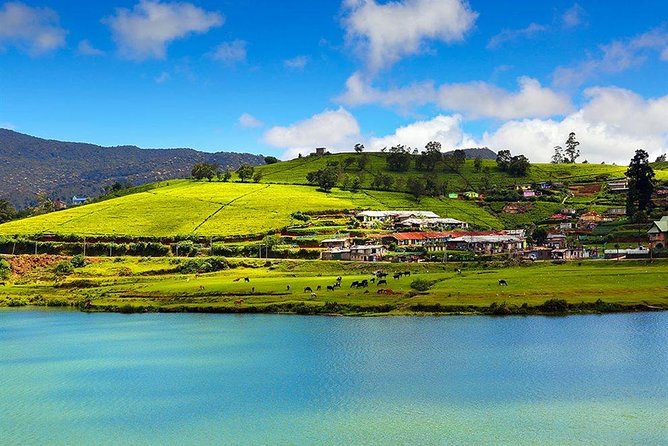 Day Tour to Nuwara Eliya from Kandy by Lux Tours Lanka - Gregory Lake: a short break with a local feel