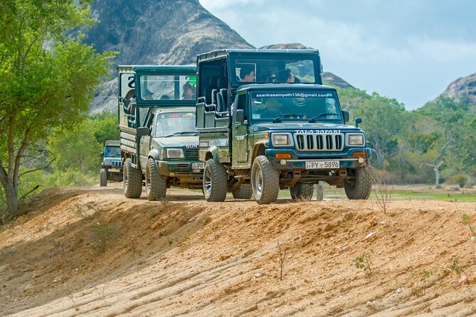 Day Tour to Wilpattu National Park from Colombo - Why Wilpattu makes a long day worthwhile