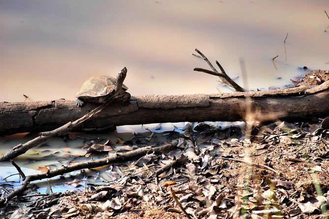 Day Tour to Wilpattu National Park from Colombo - Is $150 good value?