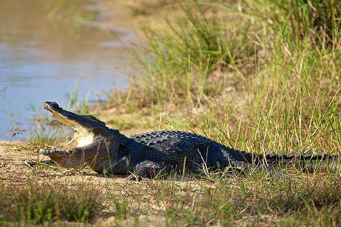 Day Tour to Wilpattu National Park from Colombo - Who should book this Colombo safari?