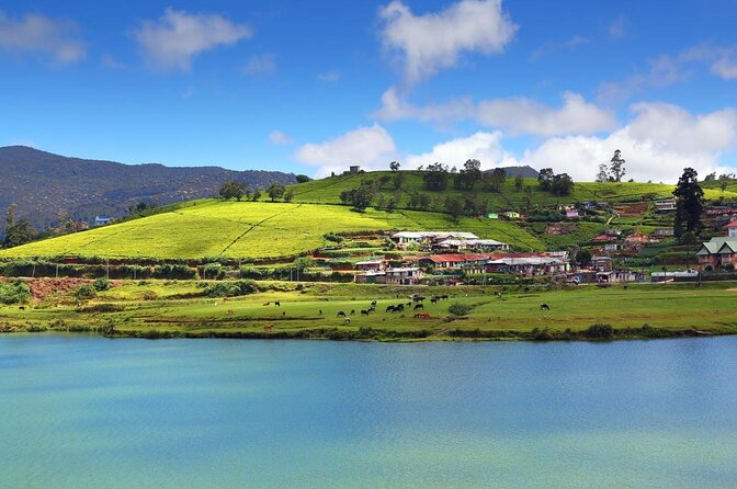 Day Trip to Nuwara Eliya with Kingfisher Tours - The jewelry museum adds interest, with a sales angle