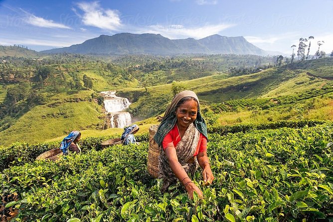 Day Trip to Nuwara Eliya with Kingfisher Tours - Ramboda Falls brings a welcome outdoor break