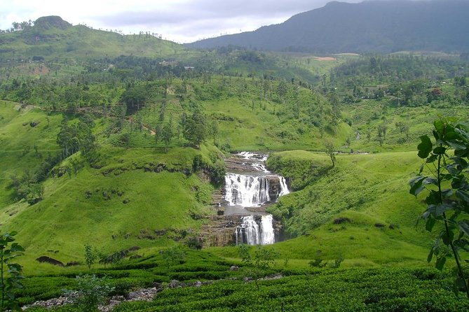 Day Trip to Nuwara Eliya with Kingfisher Tours - NGM Strawberry Farm is fun, but not essential