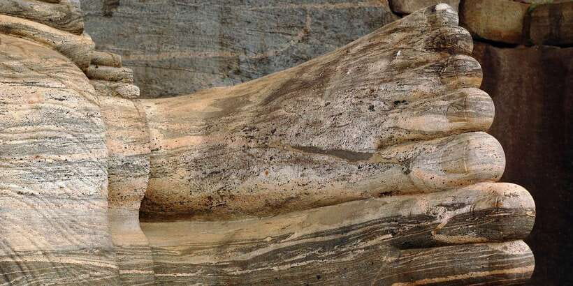 Day Trip to the Ancient Capital of Polonnaruwa From Colombo - What the $111 price really covers