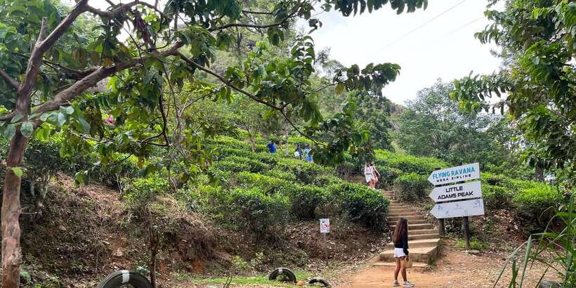 Discover the Best of Sri Lanka in 2 Days - The Hali Ela to Ella train ride