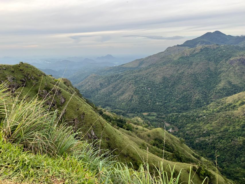 Ella: Tea Factory, Train, and Nine Arch Day Tour with Pickup - The Flying Ravana Mega Zipline