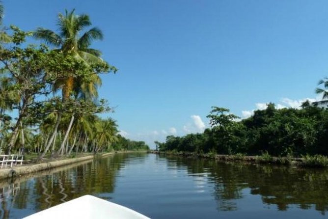 Exclusive: Muthurajawela Bird Watching Tour with Transfers - Key points to know before you book