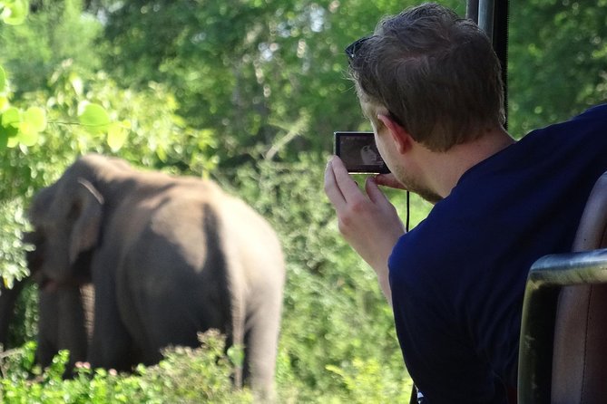 Exclusive : Overnight Leopard Safari with Luxury Glamping - The 2:30 pm game drive in Yala