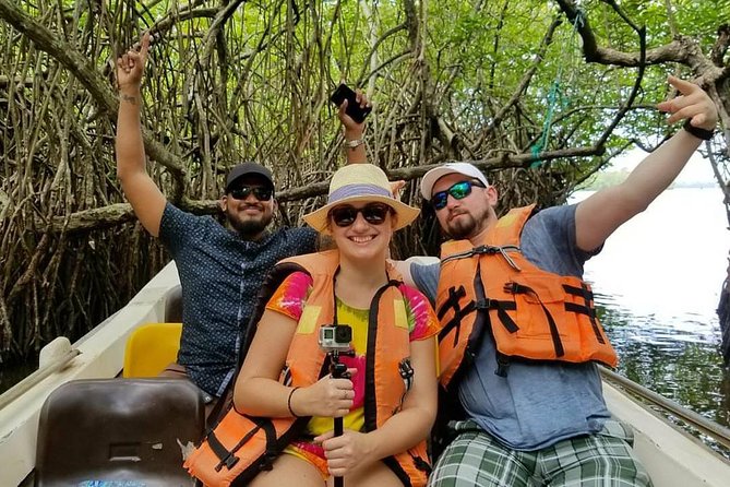 Exclusive: Southern Sri Lanka Sightseeing Private Day Trip - Kosgoda turtle hatchery and conservation questions