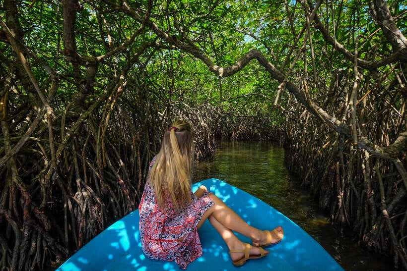 From Colombo: Galle, Bentota Coastal Highlights Private Tour - Lunch near Balapitiya and Madu Ganga