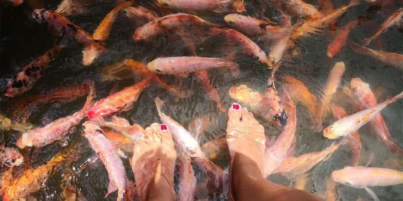 From Colombo: Handungoda, Galle, Ahangama, & Kosgoda Tour - What The $110 Price Really Buys