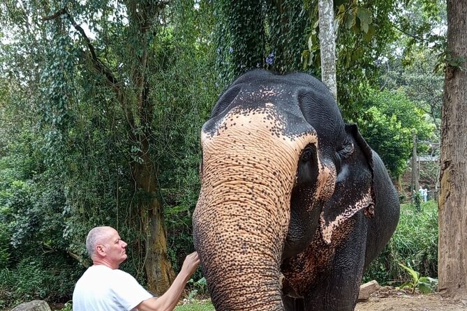 From Colombo: Kandy and Pinnawala Full-Day Trip - Why this day trip works for Colombo visitors