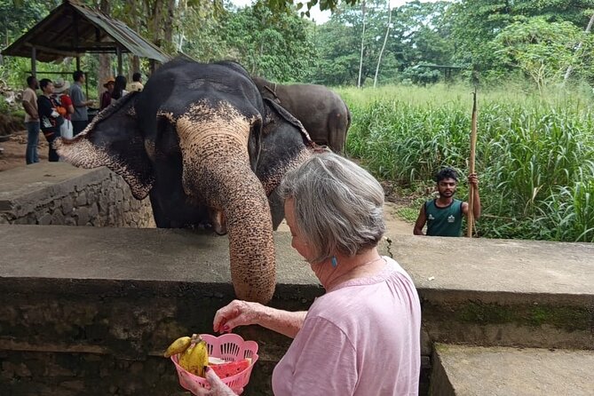 From Colombo: Kandy and Pinnawala Full-Day Trip - How the guide and small group affect the day