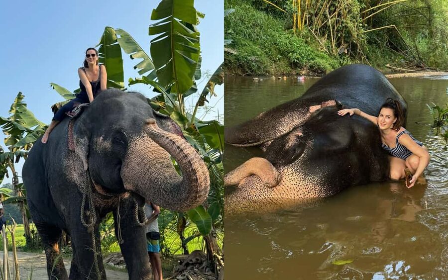 From Colombo: Kandy Temple of Tooth & Elephant Orphanage - Key things to know before booking