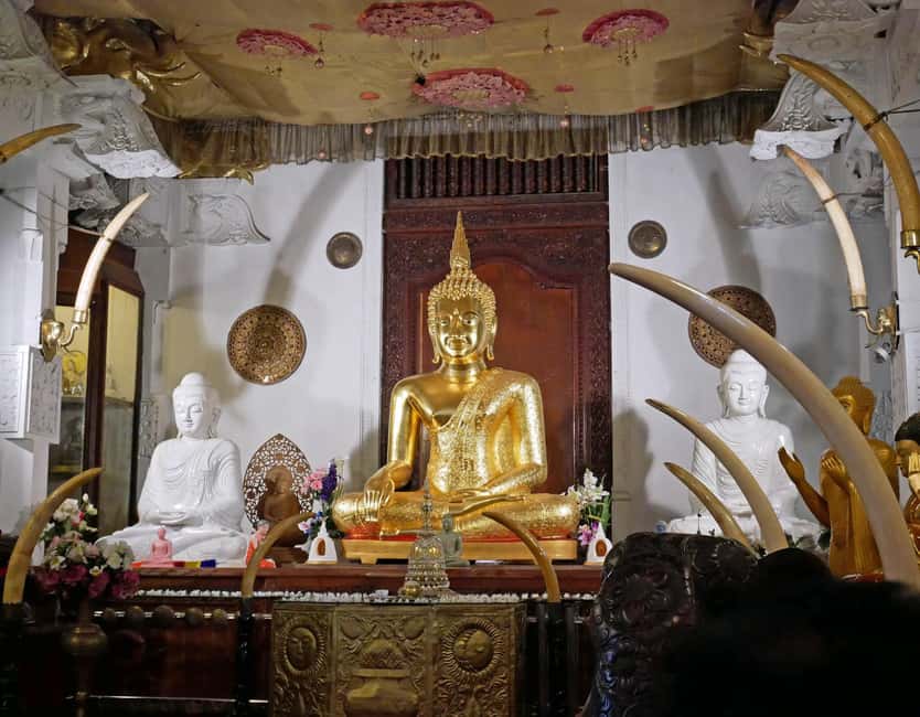 From Colombo: Kandy Temple of Tooth & Elephant Orphanage - Tea, herbs, and a taste of local produce