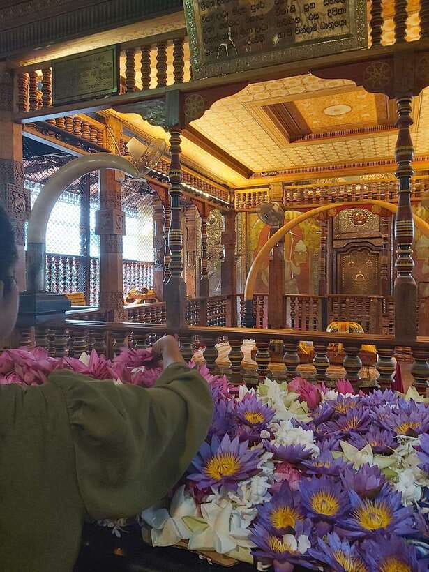 From Colombo: Kandy Temples and Pinnawala Full-Day Tour - Why this Colombo to Kandy day trip works