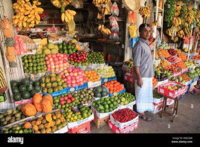 Kandy Temples and Pinnawala Full-Day Tour
