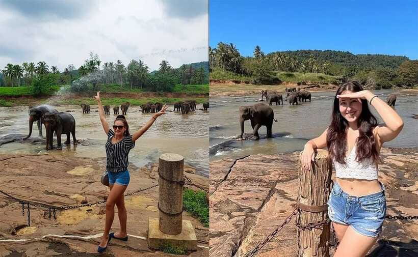 From Colombo: Pinnawala & Tea factory with Kandy Hotel Drop - Who should book this experience
