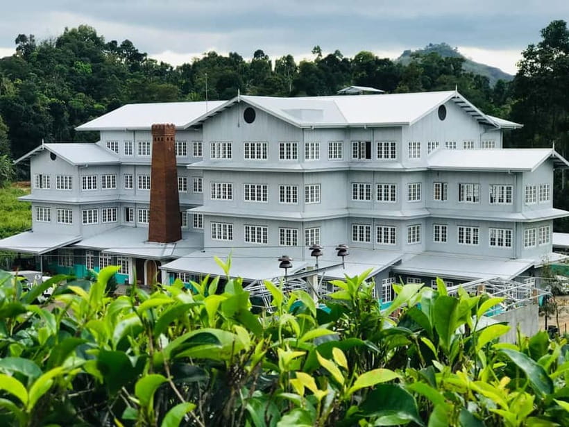 From Colombo: Pinnawala & Tea factory with Kandy Hotel Drop - Should you book the Colombo to Kandy transfer?