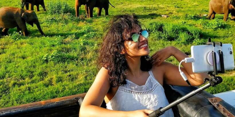 From Colombo: Private Minneriya National Park Day Safari - Three hours inside Minneriya National Park