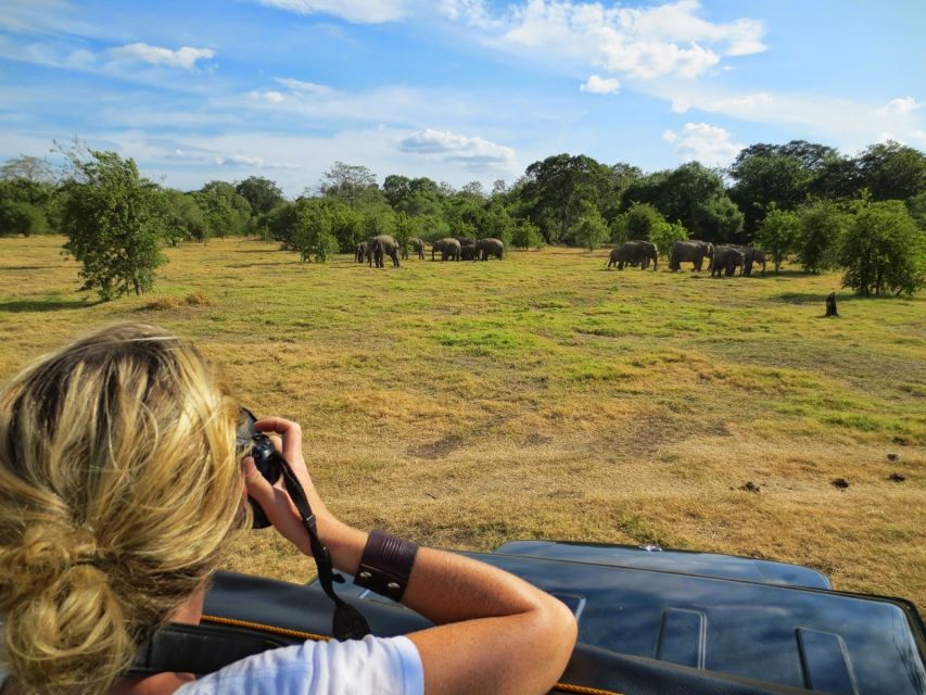 From Colombo: Private Minneriya National Park Day Safari - How to prepare for the safari