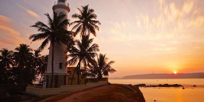 From Colombo: Virgin White Tea and Galle City Tour - A Long Day With Two Very Different Faces