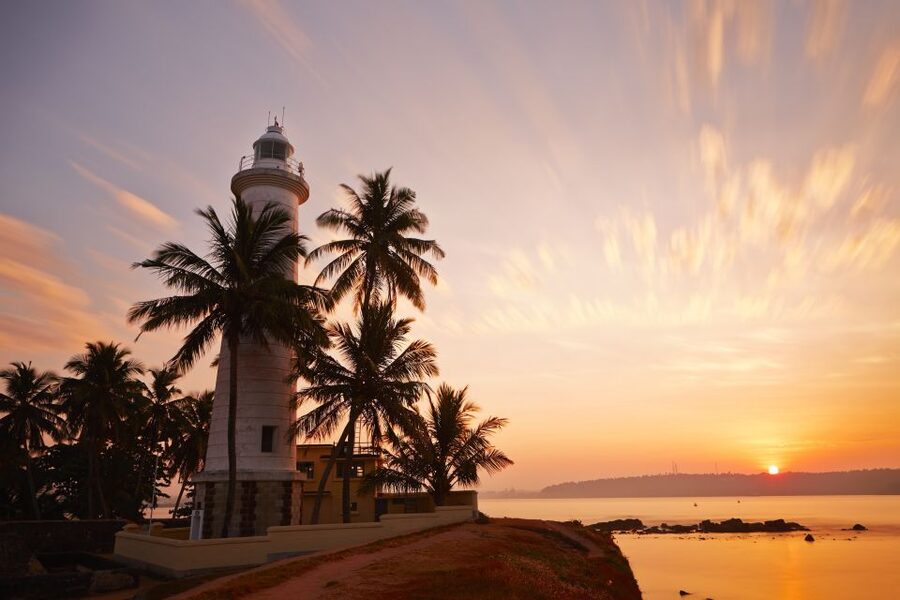 From Colombo: Virgin White Tea and Galle City Tour - The Return to Colombo