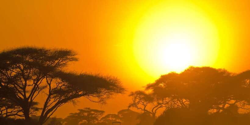 From Colombo: Yala National Park Safari with Transfer - Arriving at Yala and changing to the safari Jeep