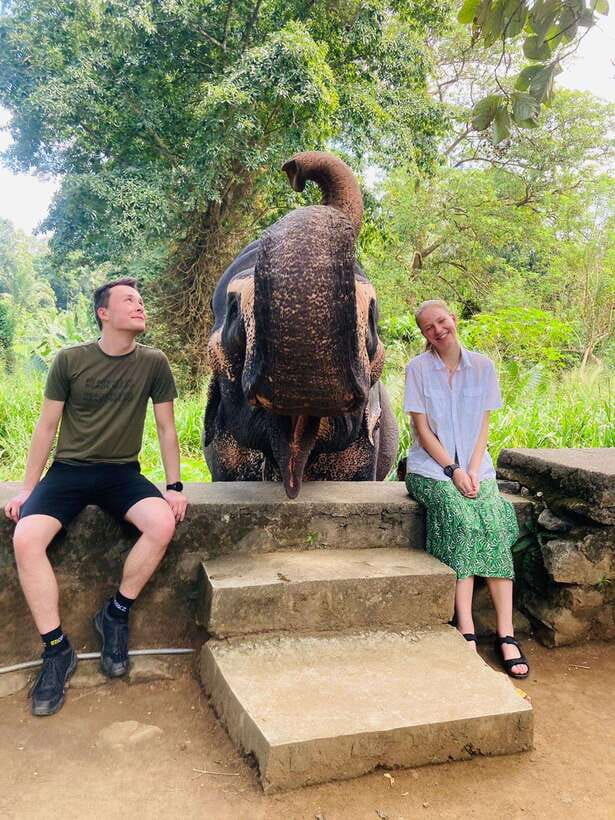 From Kandy : Pinnawala Elephant Orphanage & Ambuluwawa Tower - Key points to know before you go