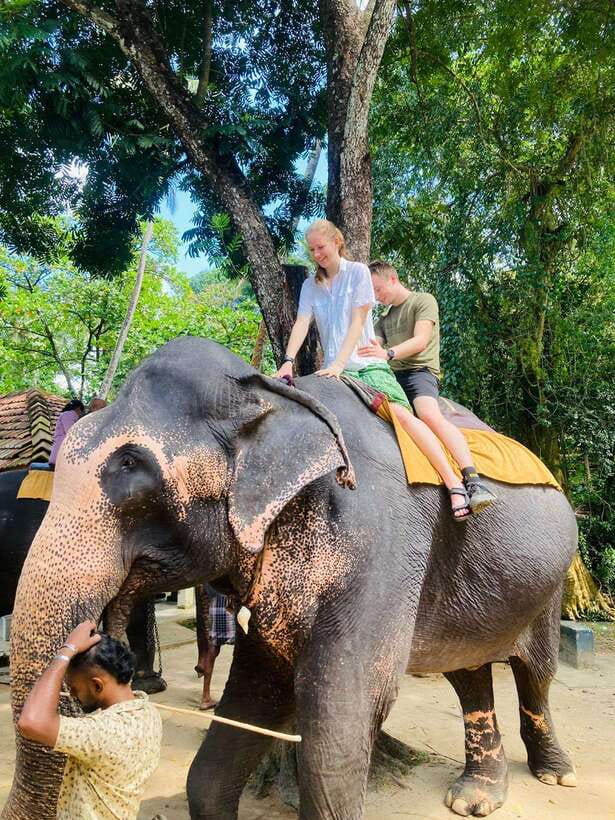 From Kandy : Pinnawala Elephant Orphanage & Ambuluwawa Tower - Why this Kandy day works so well