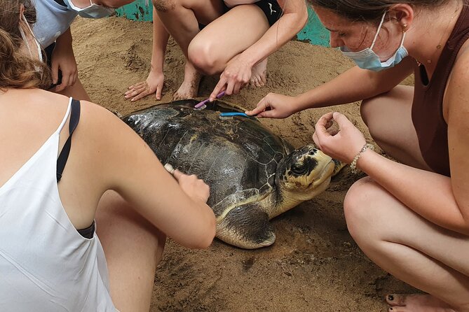 Galle day tour - Colombo to Galle trip - All Included - Lunch by the beach at Hikkaduwa