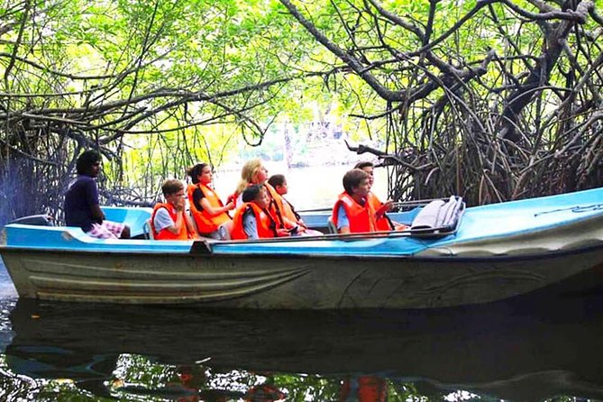 Galle Day Tour from Colombo or Negombo by Private Car , Van with Driver - Bentota Beach gives you an easy first stop