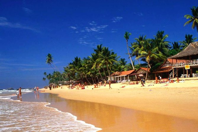 Galle Day Tour from Colombo or Negombo by Private Car , Van with Driver - Galle Dutch Fort is the day’s main sight