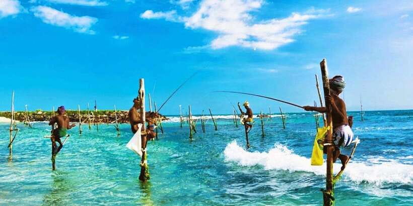Galle Day Trip - River Safari, Sea Turtle & Stilt Fishermen - Why the Bentota River Safari deserves top billing