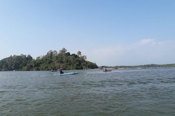 Galle Fort, Turtle, - Private Day Tour From Negombo or Colombo - What a private driver-guide adds