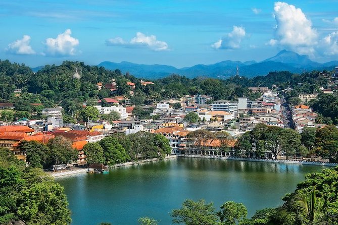 Kandy and Pinnawala Private Day Tour from Colombo/Negombo - What the private format really gives you