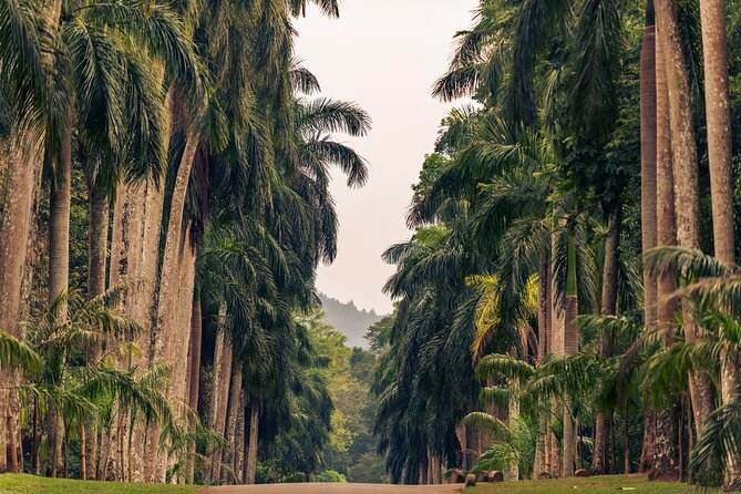 Kandy City Tour from Colombo - Kandy City Centre and time in town