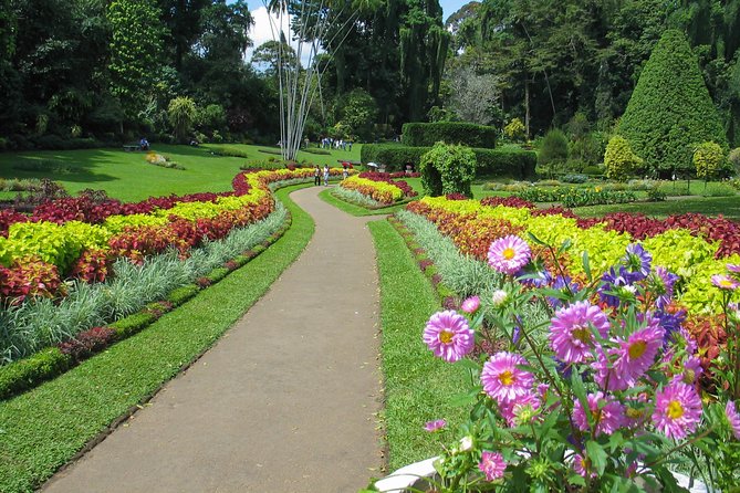 Kandy City Tour from Colombo - Food, extra costs, and the real value of $100