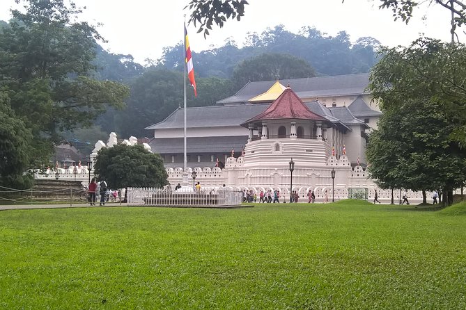 Kandy Day Tour From Colombo - The real shape of this Colombo to Kandy trip