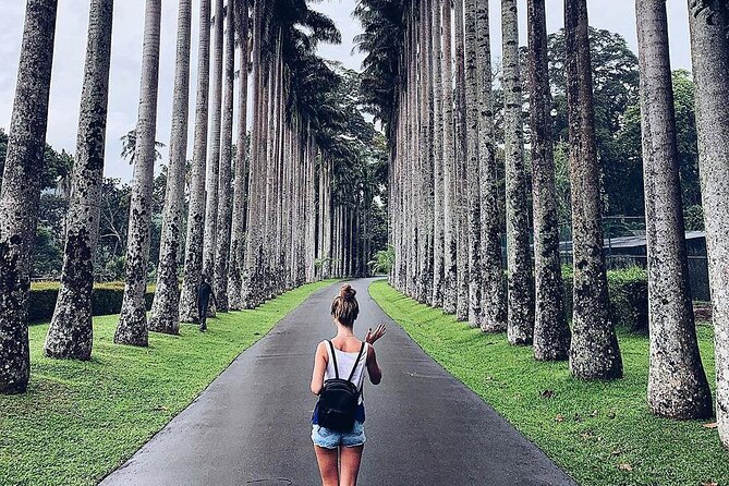 Kandy Day Tour From Colombo - Four hours to explore Kandy