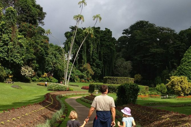 Kandy Day Tour From Colombo - Geragama Tea Factory and the Ceylon tea story