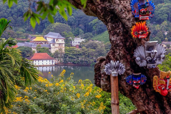 Kandy Day Tour From Colombo - Transport, group size, and the human factor