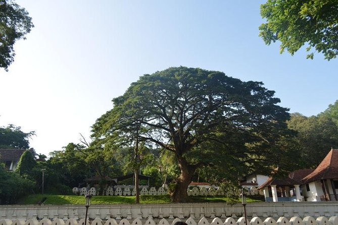 Kandy Full-Day Tour - Entering the Temple of the Sacred Tooth Relic