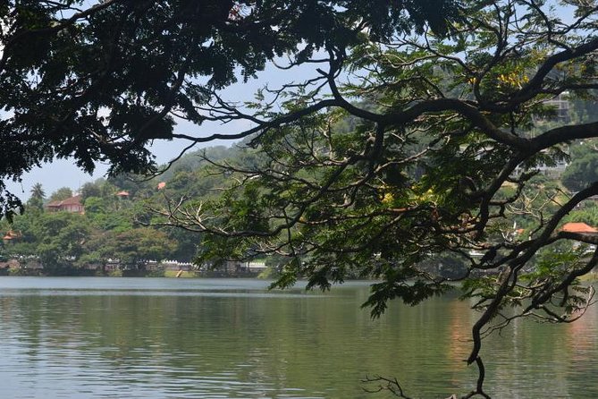 Kandy Full-Day Tour - Rooftop lunch near the Kandyan Art Association