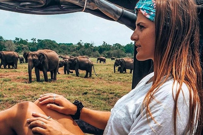 Kandy - Minneriya National park & Sigiriya Rock by tuk tuk tours - Sigiriya: major sight, limited time