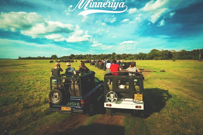 Kandy - Minneriya National park & Sigiriya Rock by tuk tuk tours - The real price: $41.67 plus major extras