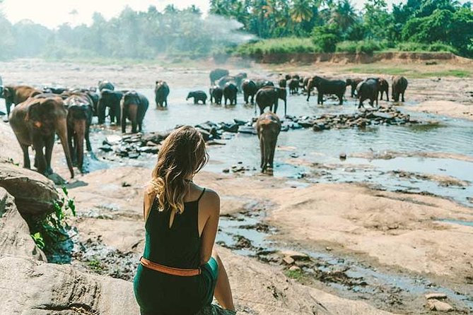 Kandy & Nuwara Eliya | 2 Days Tour - Peradeniya’s 4,000 plant species